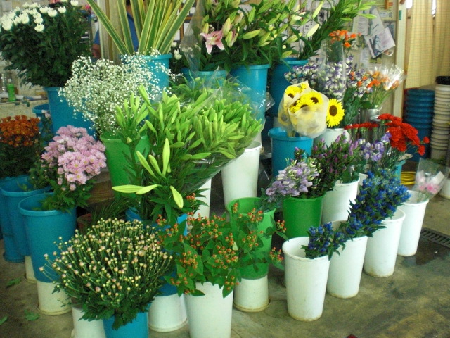 ファイル 42-3.jpg