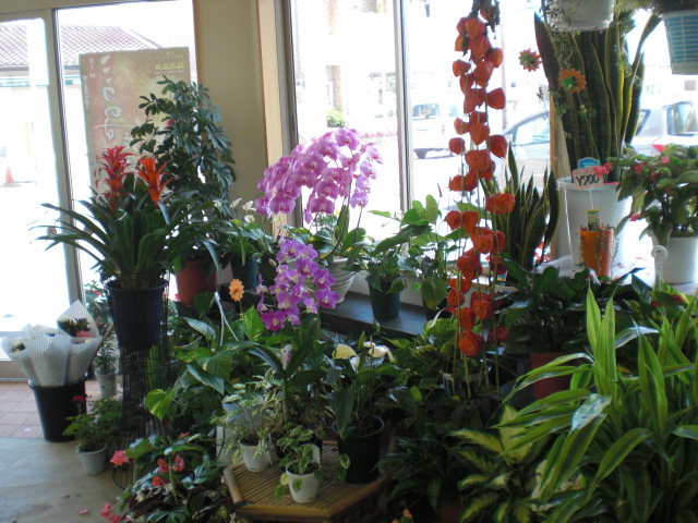 ファイル 43-3.jpg