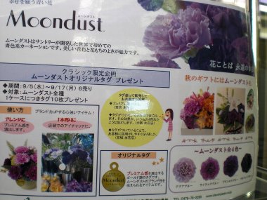 ファイル 44-1.jpg