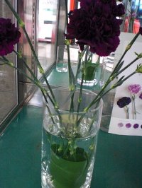 ファイル 45-1.jpg