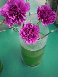 ファイル 45-2.jpg