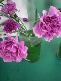 ファイル 45-3.jpg