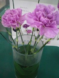 ファイル 45-4.jpg