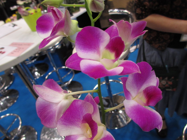 ファイル 48-3.jpg