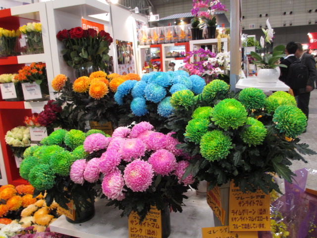 ファイル 48-4.jpg