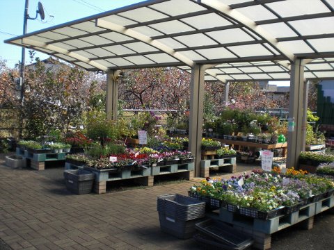 ファイル 49-2.jpg