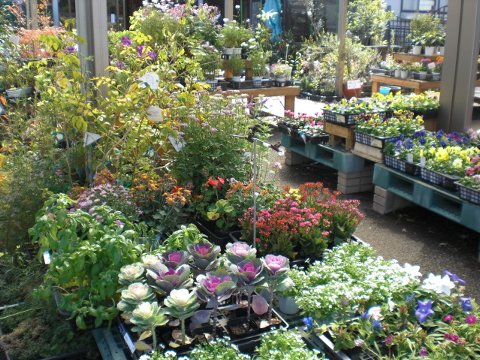 ファイル 49-3.jpg