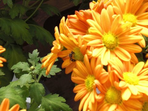 ファイル 49-4.jpg