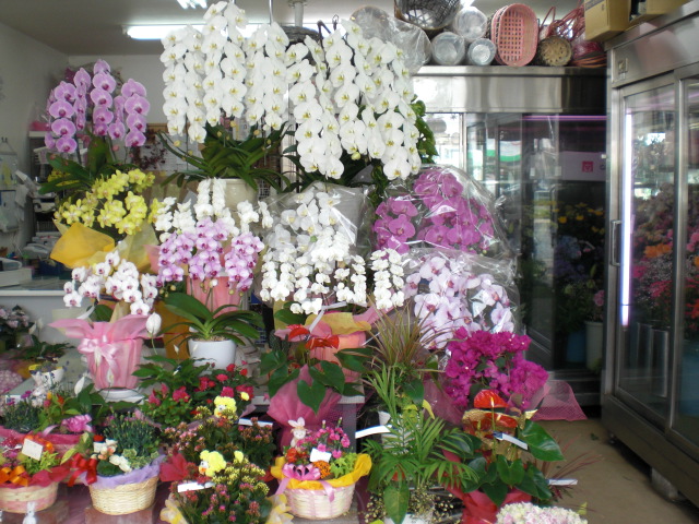 ファイル 5-2.jpg