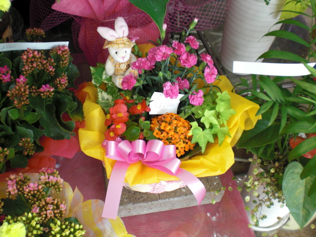 ファイル 5-3.jpg