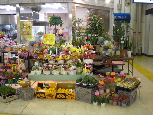 ファイル 50-2.jpg