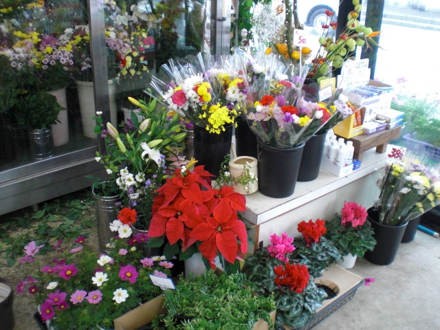 ファイル 53-2.jpg