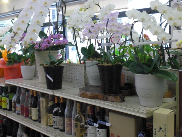 ファイル 53-4.jpg