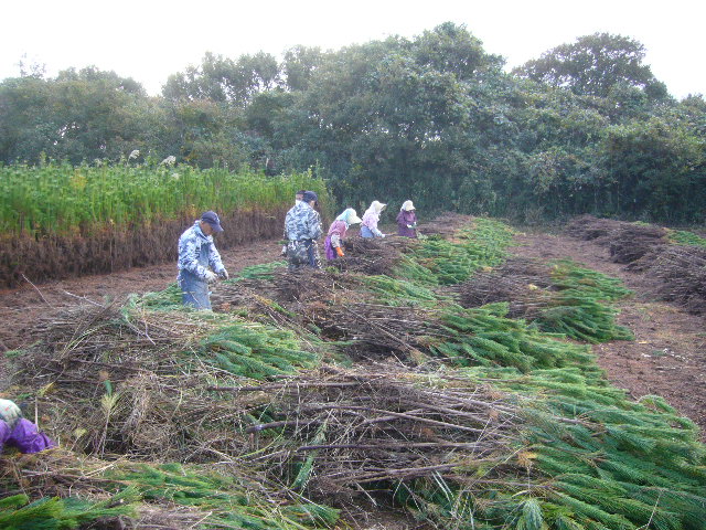 ファイル 54-1.jpg