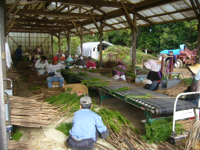 ファイル 54-2.jpg