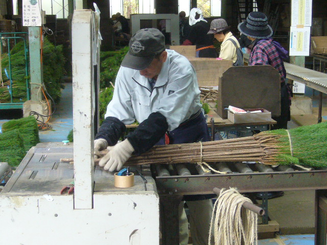 ファイル 54-3.jpg