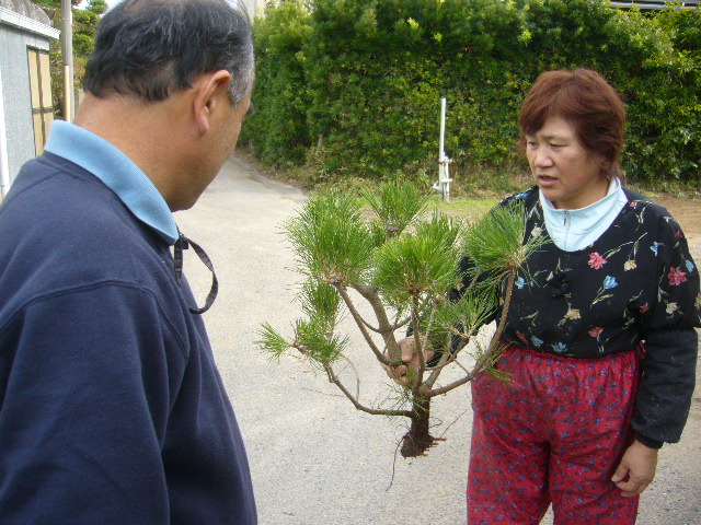 ファイル 54-4.jpg