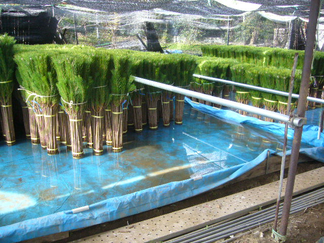 ファイル 54-5.jpg