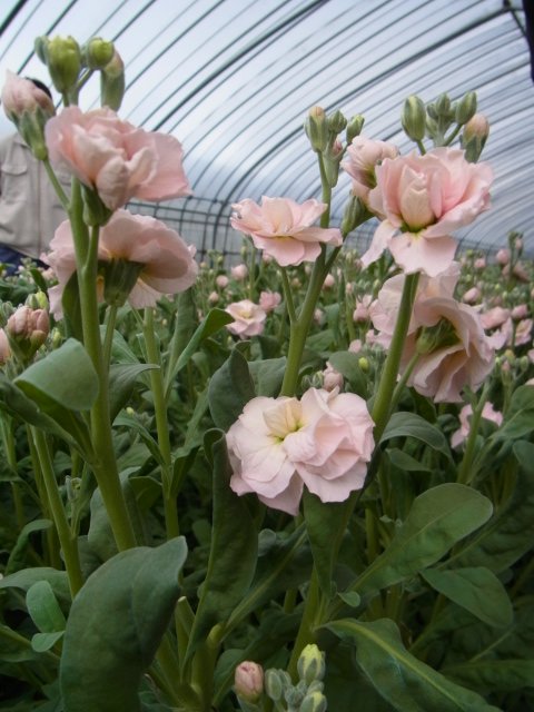 ファイル 55-3.jpg