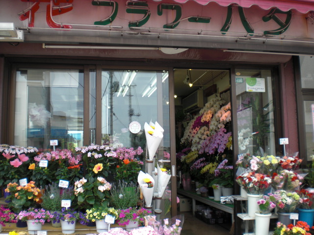 ファイル 6-1.jpg