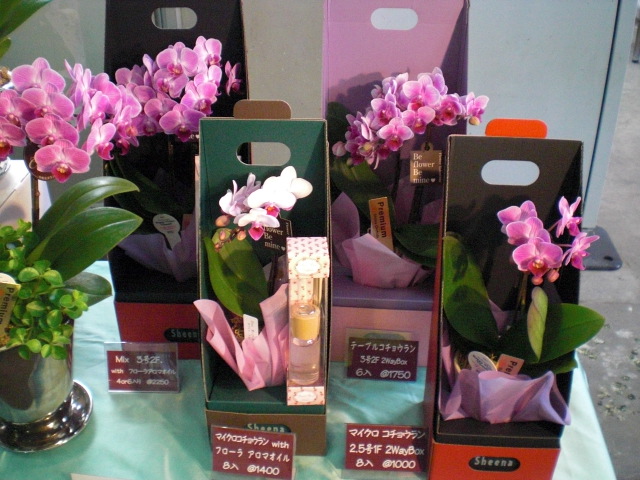 ファイル 61-1.jpg