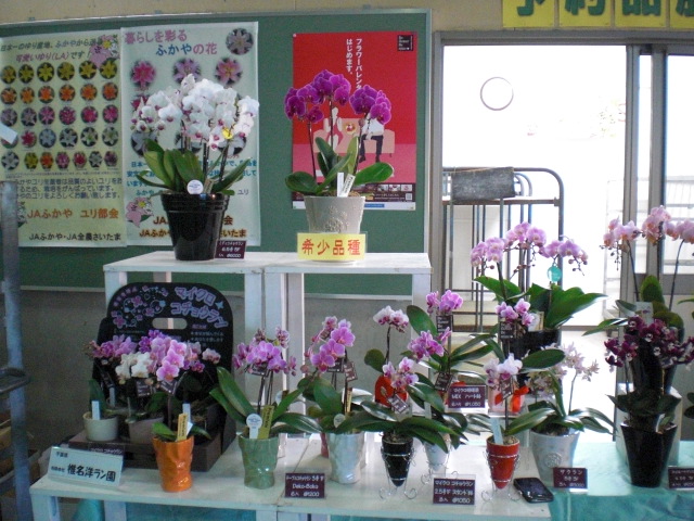 ファイル 61-3.jpg