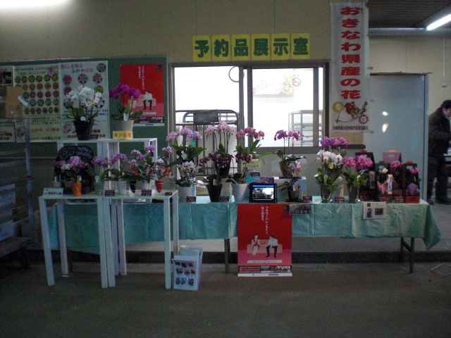 ファイル 61-4.jpg