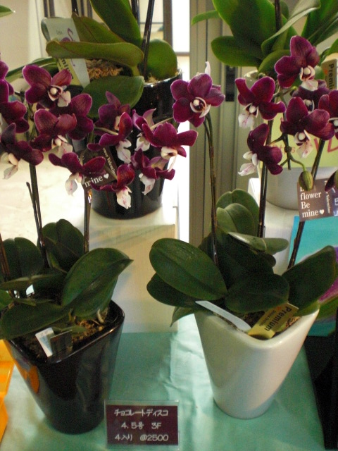 ファイル 62-2.jpg