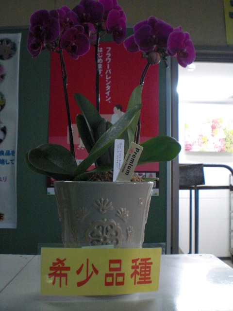 ファイル 62-3.jpg