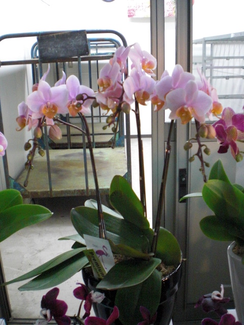 ファイル 62-4.jpg