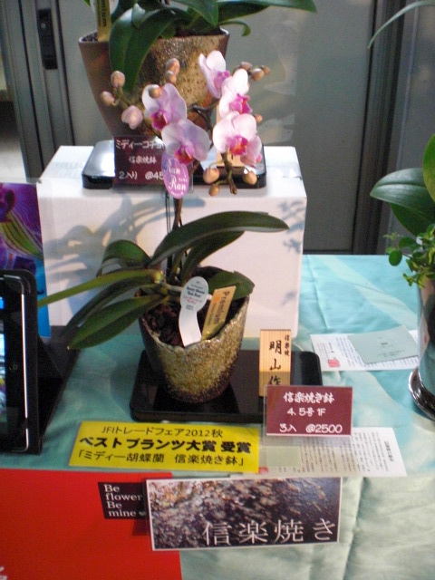 ファイル 62-5.jpg