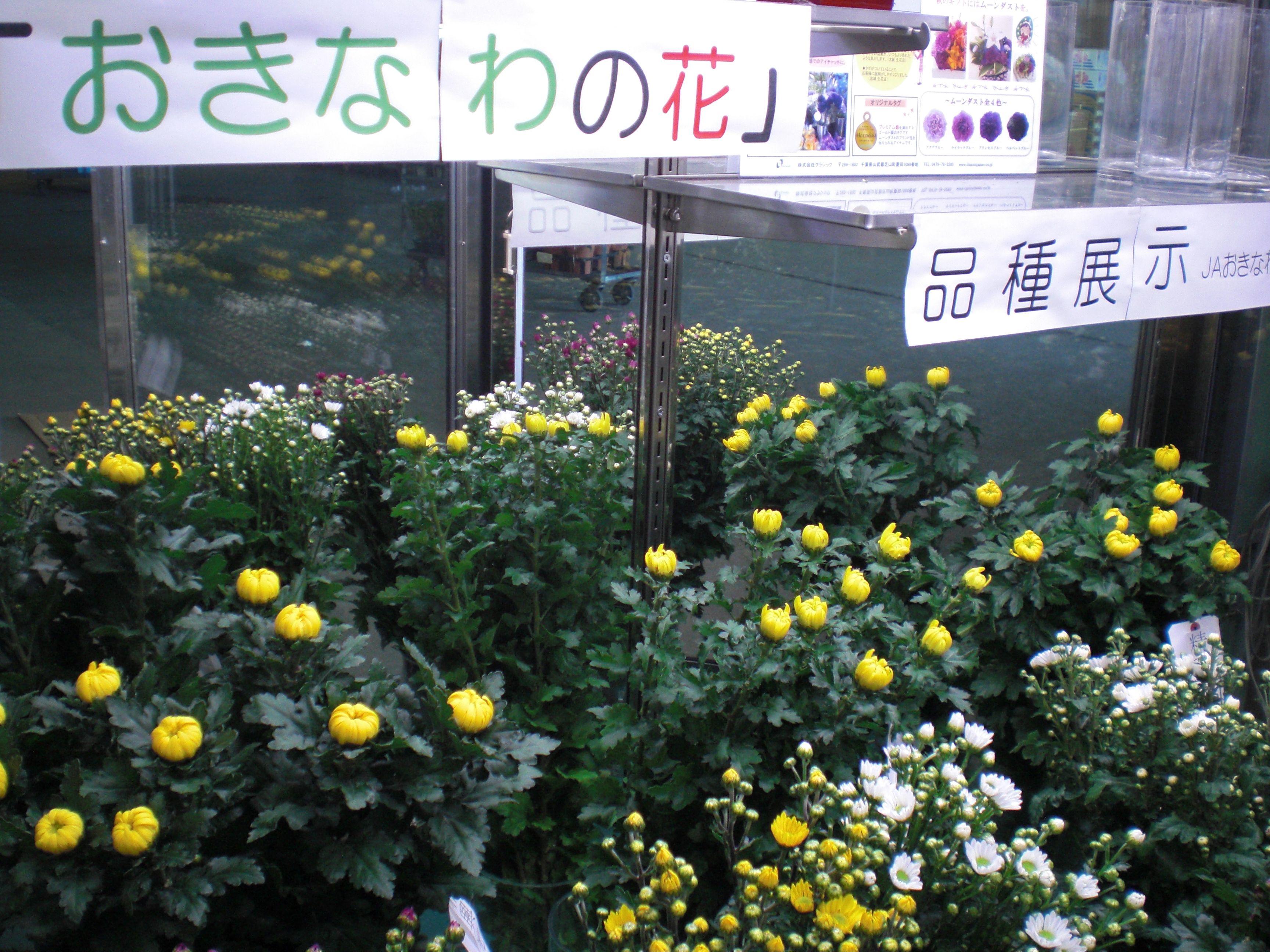 ファイル 63-2.jpg