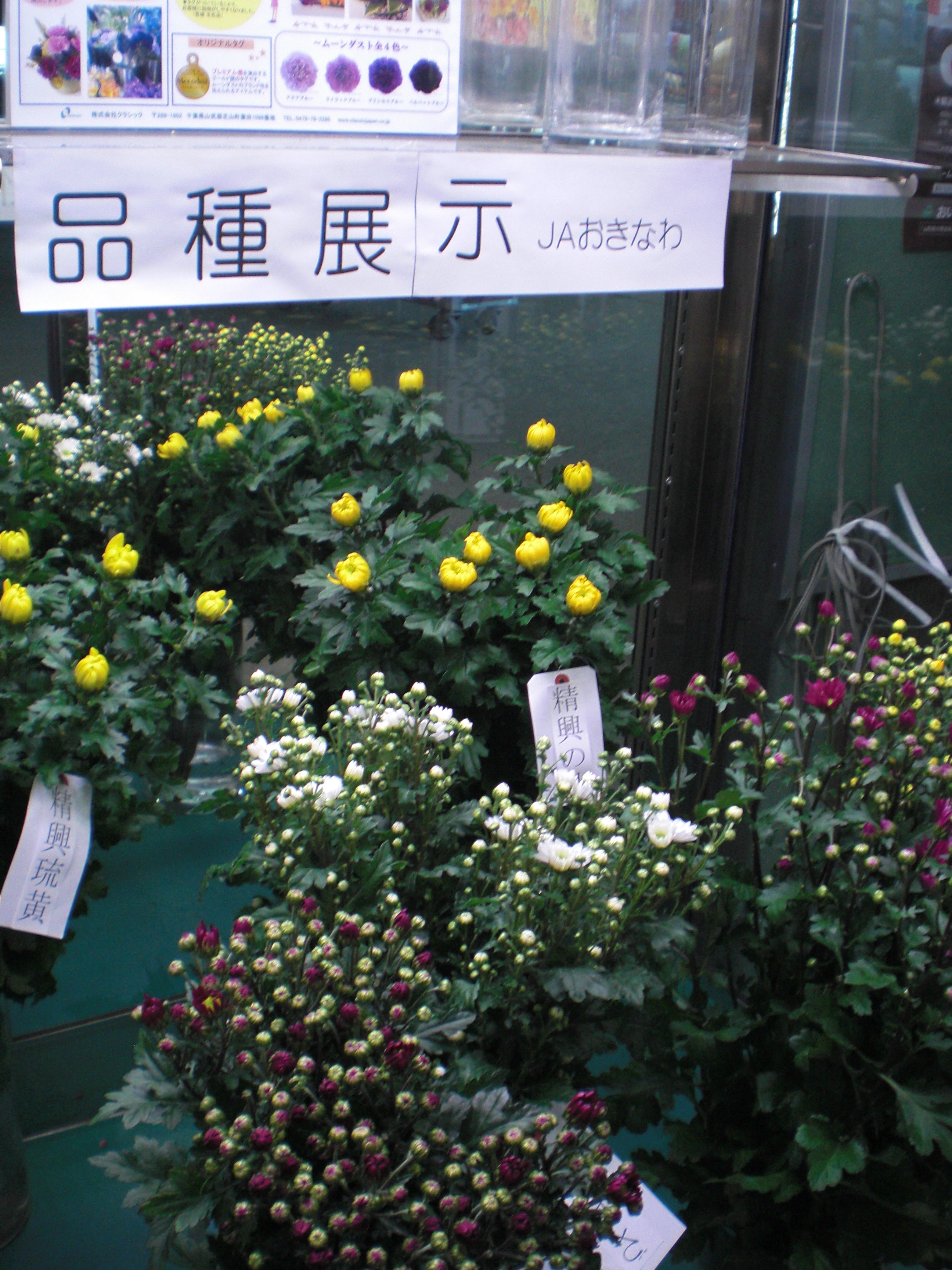 ファイル 63-3.jpg