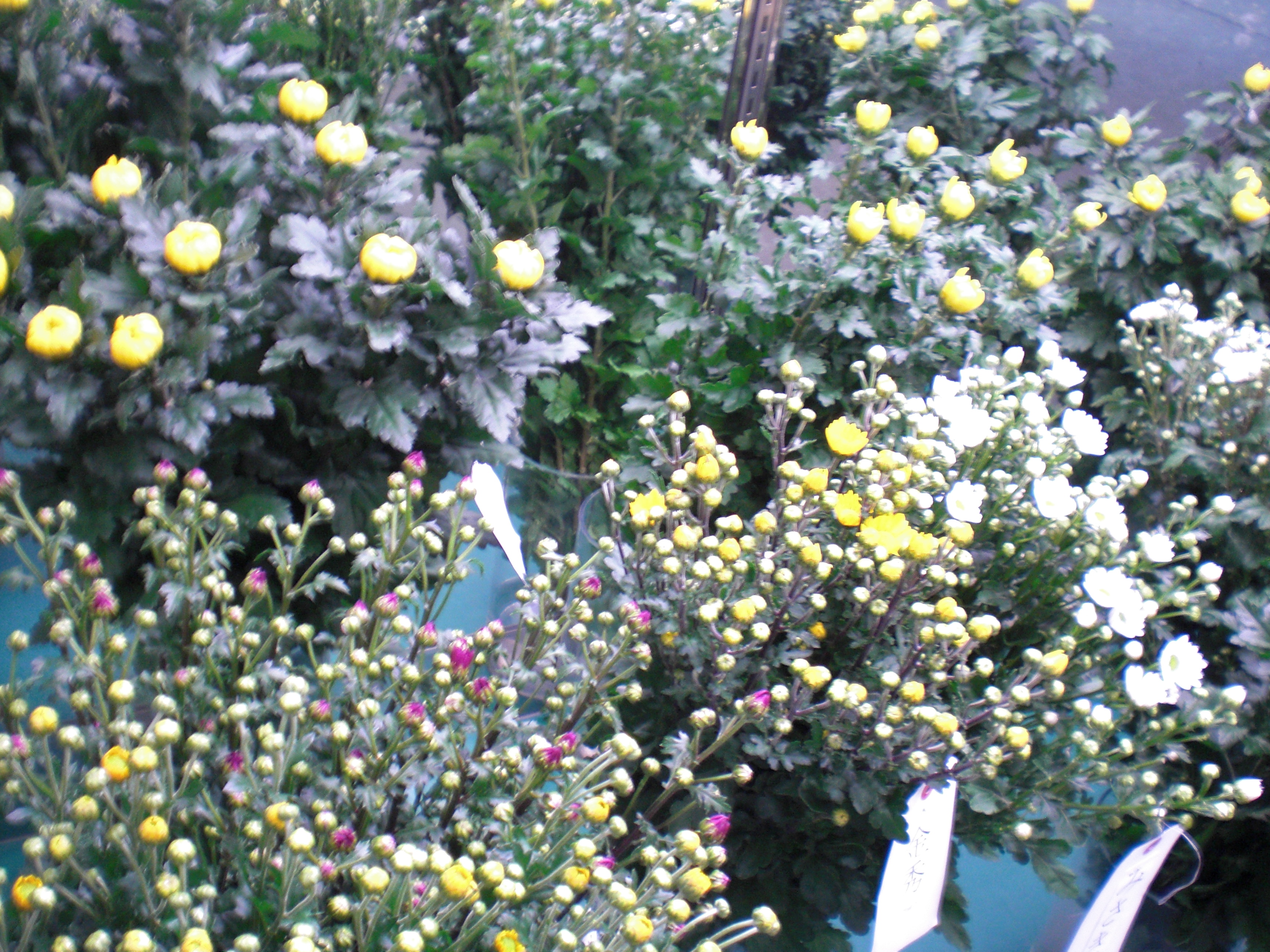 ファイル 63-4.jpg