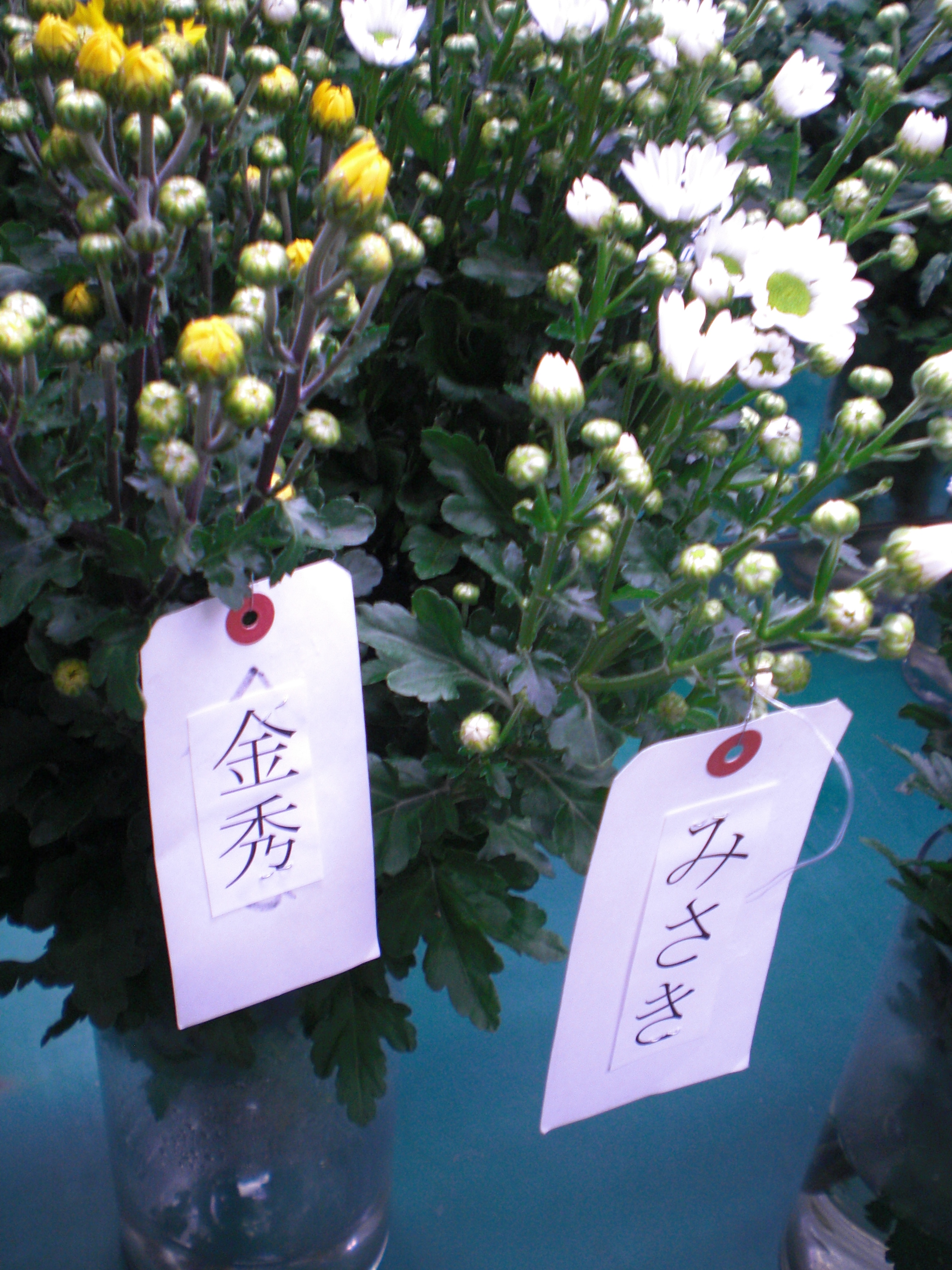 ファイル 63-5.jpg