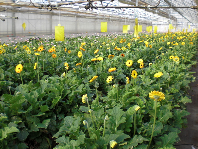 ファイル 65-1.jpg