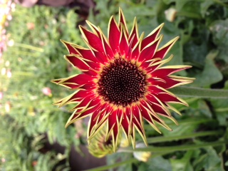 ファイル 65-2.jpg