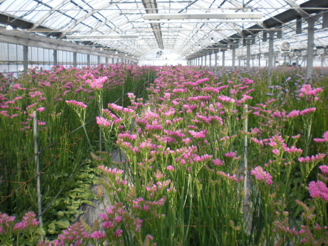 ファイル 65-4.jpg