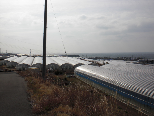 ファイル 65-5.jpg