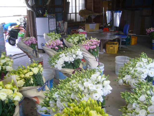 ファイル 66-3.jpg