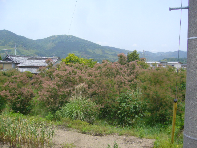 ファイル 66-4.jpg