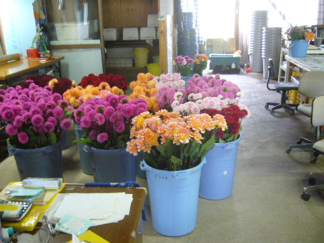 ファイル 66-5.jpg