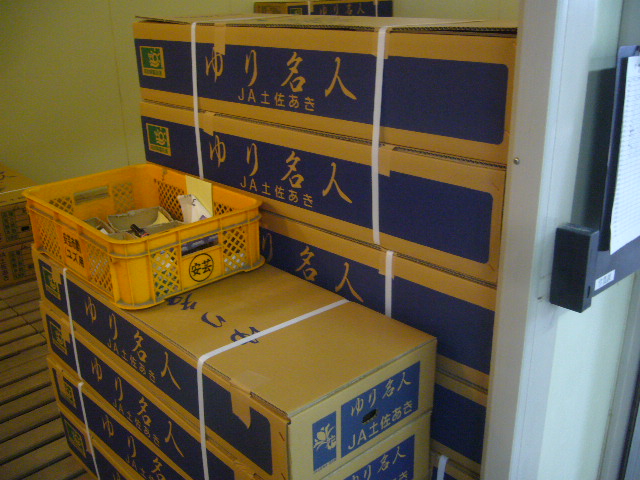 ファイル 69-1.jpg