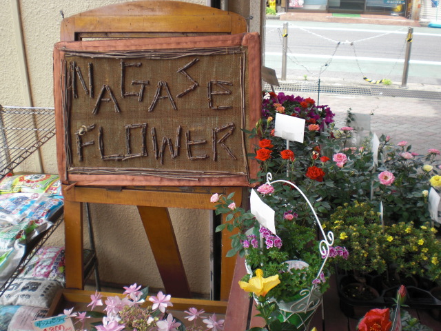 ファイル 7-1.jpg