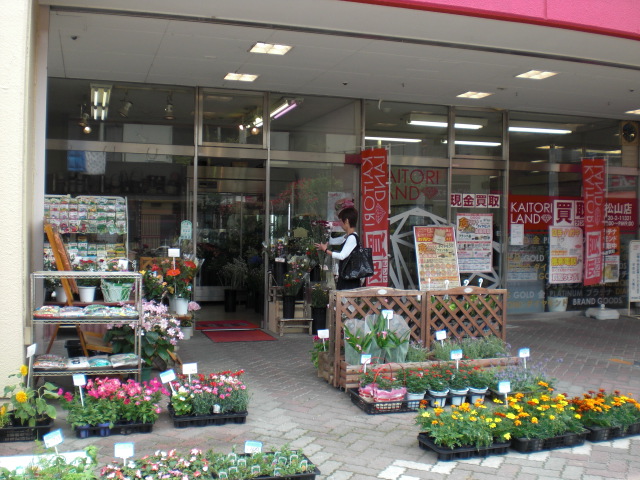 ファイル 7-2.jpg