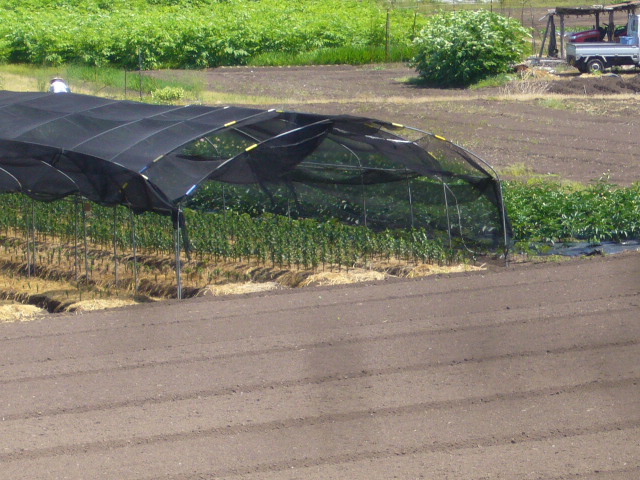 ファイル 70-1.jpg