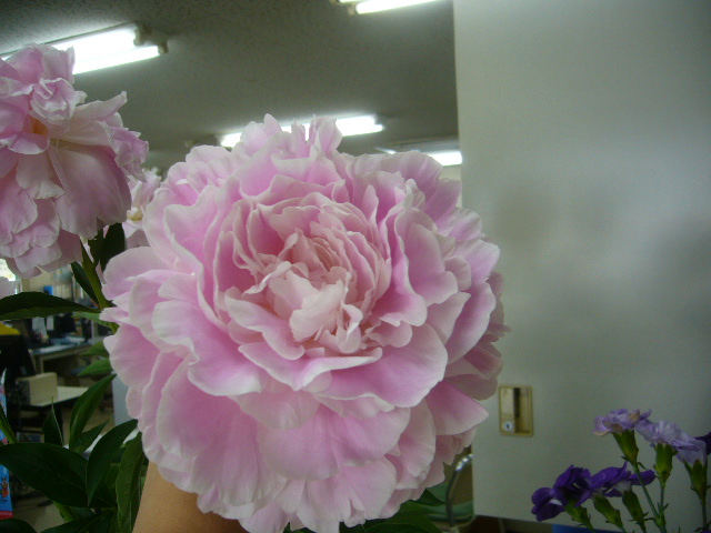 ファイル 70-5.jpg