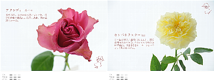 ファイル 71-3.png