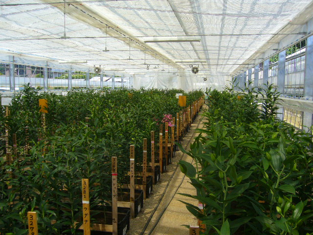 ファイル 72-2.jpg