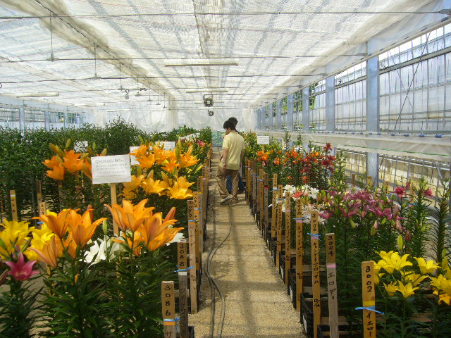 ファイル 72-3.jpg